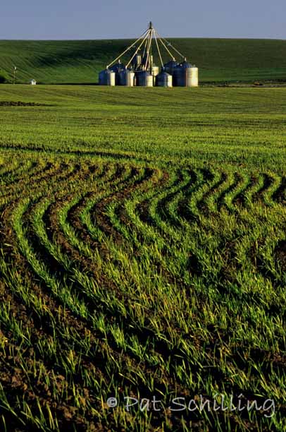 Palouse Geometry