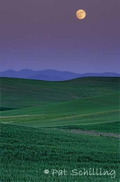 Palouse Moonrise 2