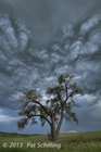 Storm Clouds over Palouse