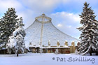 Winter Pavilion
