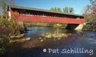 Henry Bridge